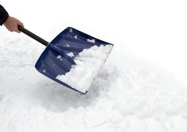 ��� ������ ������ ����: ����������� � ������������� ������