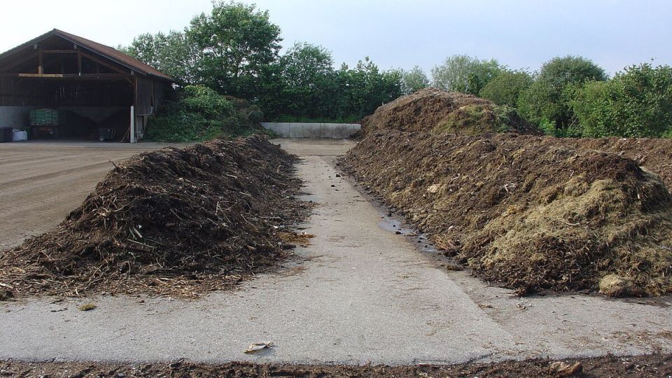 ����� ��� ������ ��������� �����������: ��������� ��������� ��� ������ �������