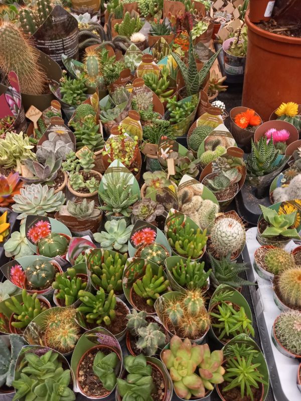 ��� ������� ������: ������� �� �������� ���������?