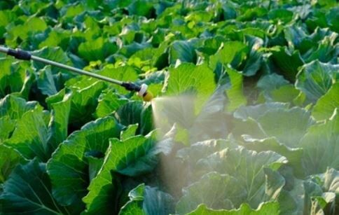 ������, ��� ��������� �������� � ��������� ����������: ������� ������� ��� ����� ���������������