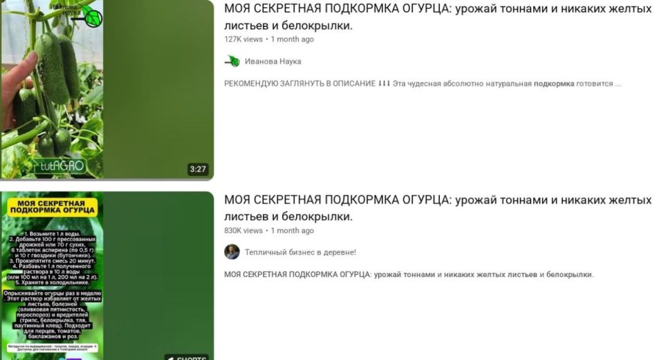 ������� ������ ������ � �������� ������ ���������� � ��������