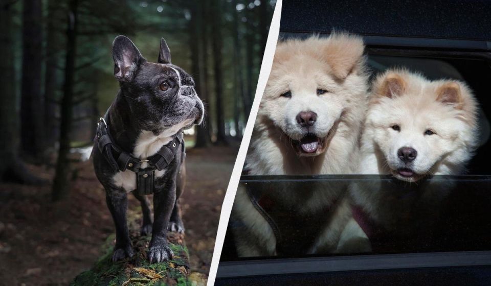 ����� ����� ��������� �� ����� ����� ���� ������� ��������� � ��� ��� ������ ��� ��������