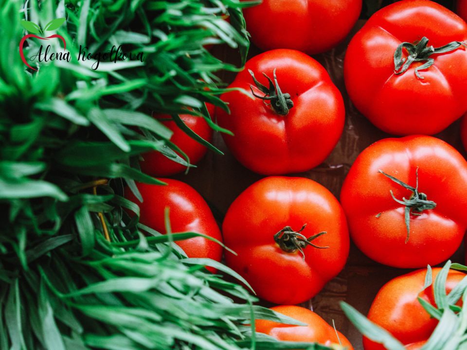 ����� � ������ �� ��� ����: ��� ���������� ������� �������� � �������� ��������� �������