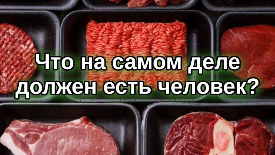 Человек как охотник: что составляет реальный рацион и зачем он нужен