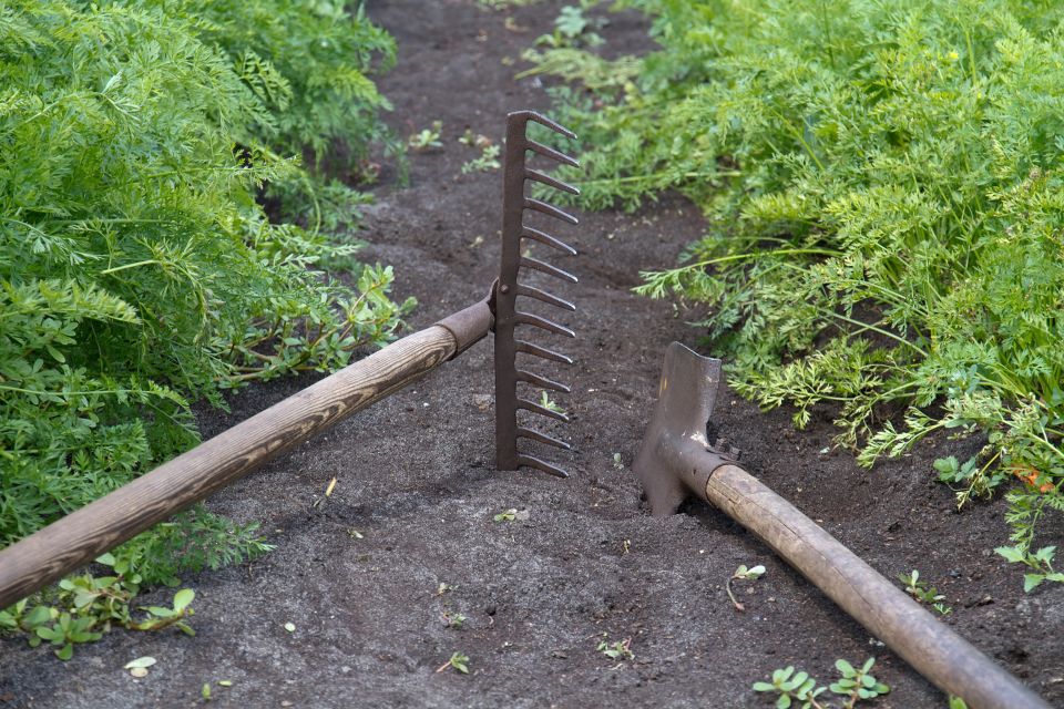 � �� � �� ������������: ��� ��� ��� ����� ������������ ������� ������