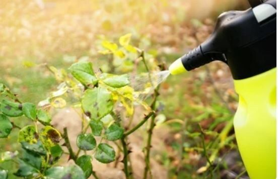 ��� ��� �����: ��� ������� ������ ��� ������ ����?