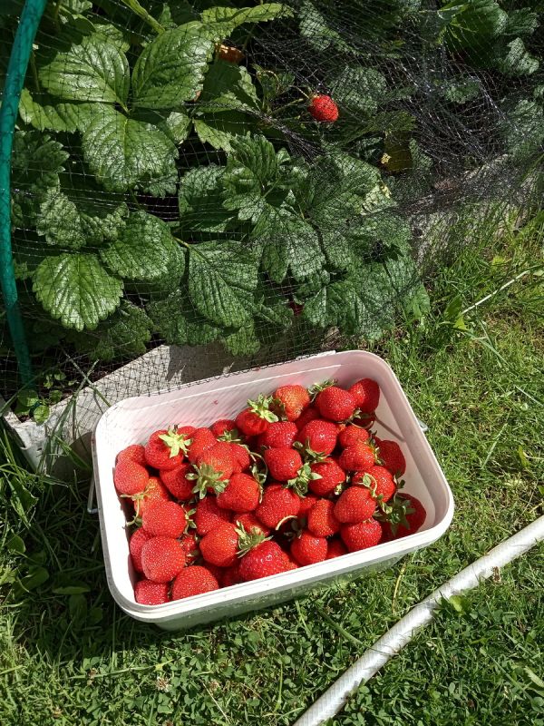 ������������� ���������: ������ ����� ��� ���� � ������� �� ����� �������