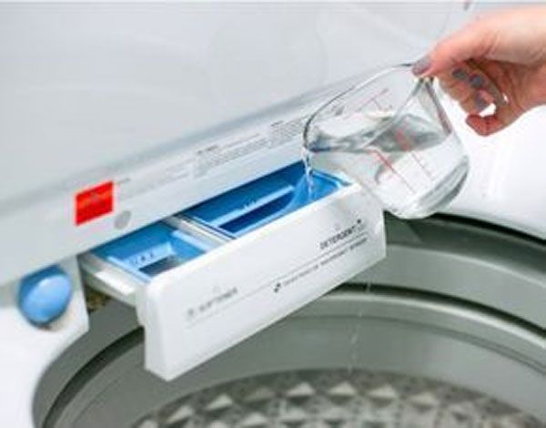 ��� ����� ����� ������� ���� ������ ���������