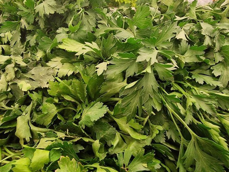 ��� ��������� ������ ������ ��������: ������ ������������