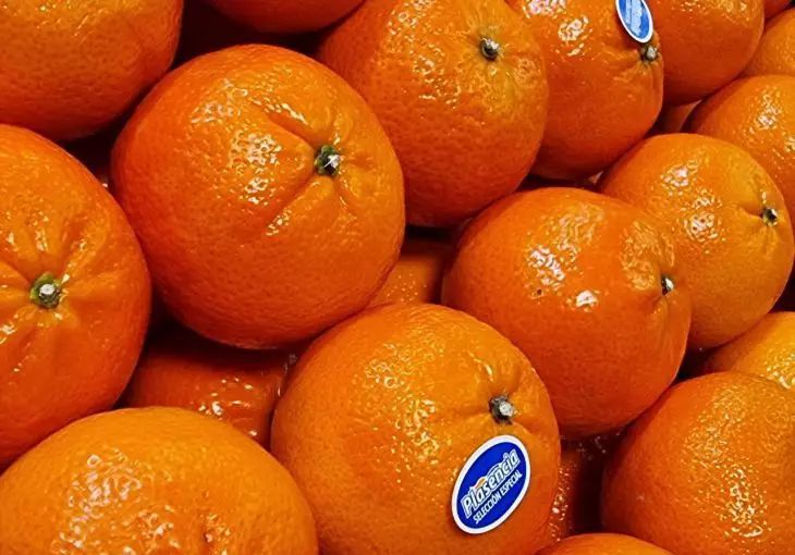 ������� �������� ������ ������� ������ ��������� ��������: ���������� �������