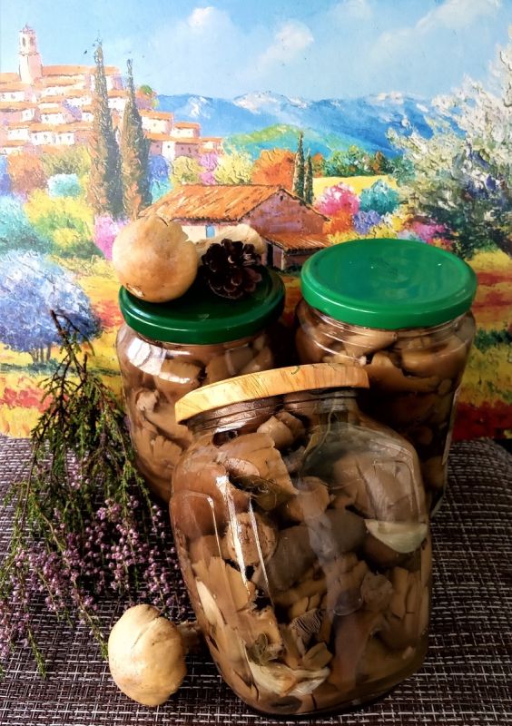 �������������� ������������ �����: ������� ������ ��� ������������