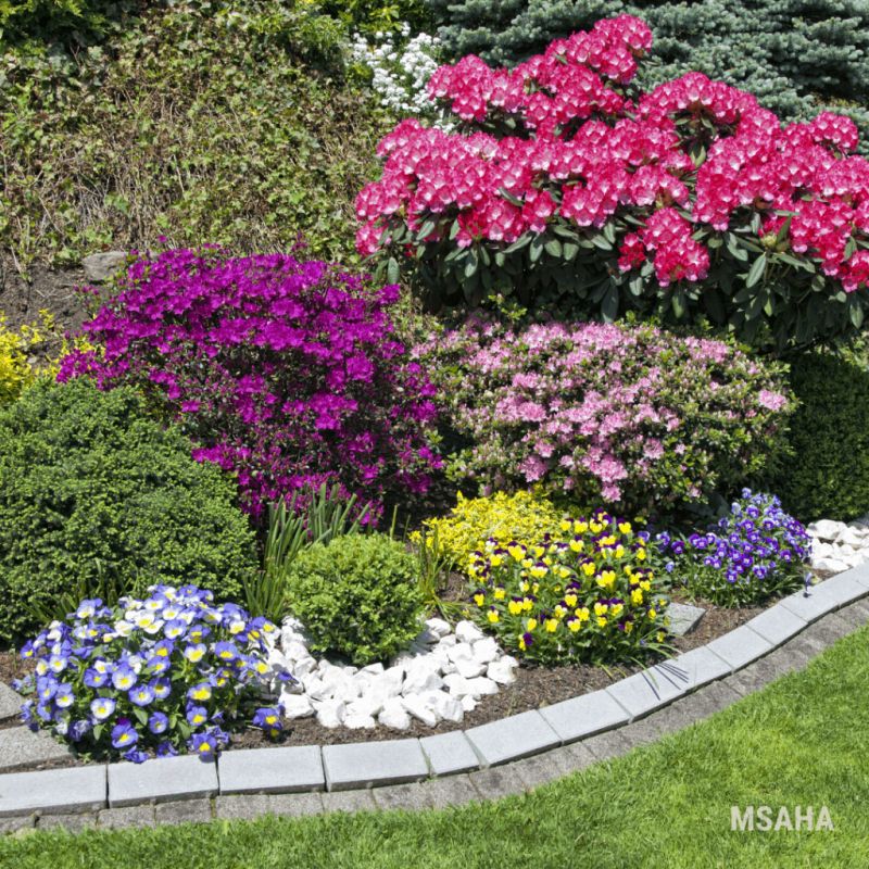 Как продлить летнее цветение: секреты ухода за цветами