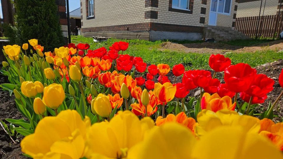 ��� ������� ����� ������� �� ������� �� ��������� ���