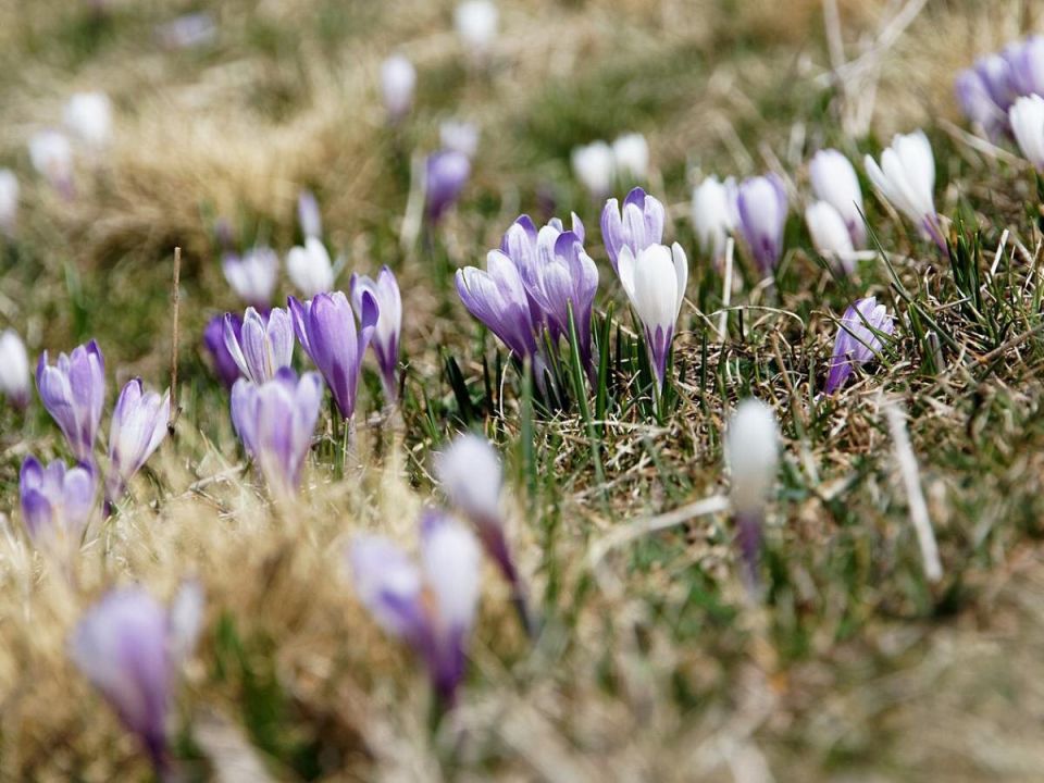 ����������� ������ ��������� ��� ������ ����: ��� �������� �������� � �������� �����