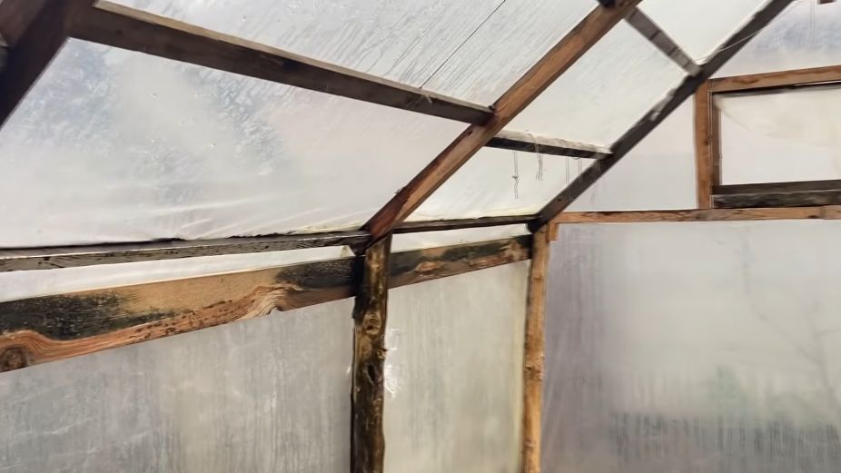 ��� ������� ��������� ������� ������ ������: ������ �� �������� ���������