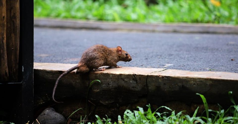 ����������� ������� ������ � ������� �� ����� �������