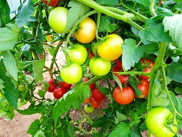 ����� ����� �� �������� � ����: ����� � ������ ��� ��������� ������