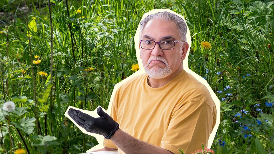 � ��������� ���� �������� ����� �� ����������: ����� �������� ���� �������