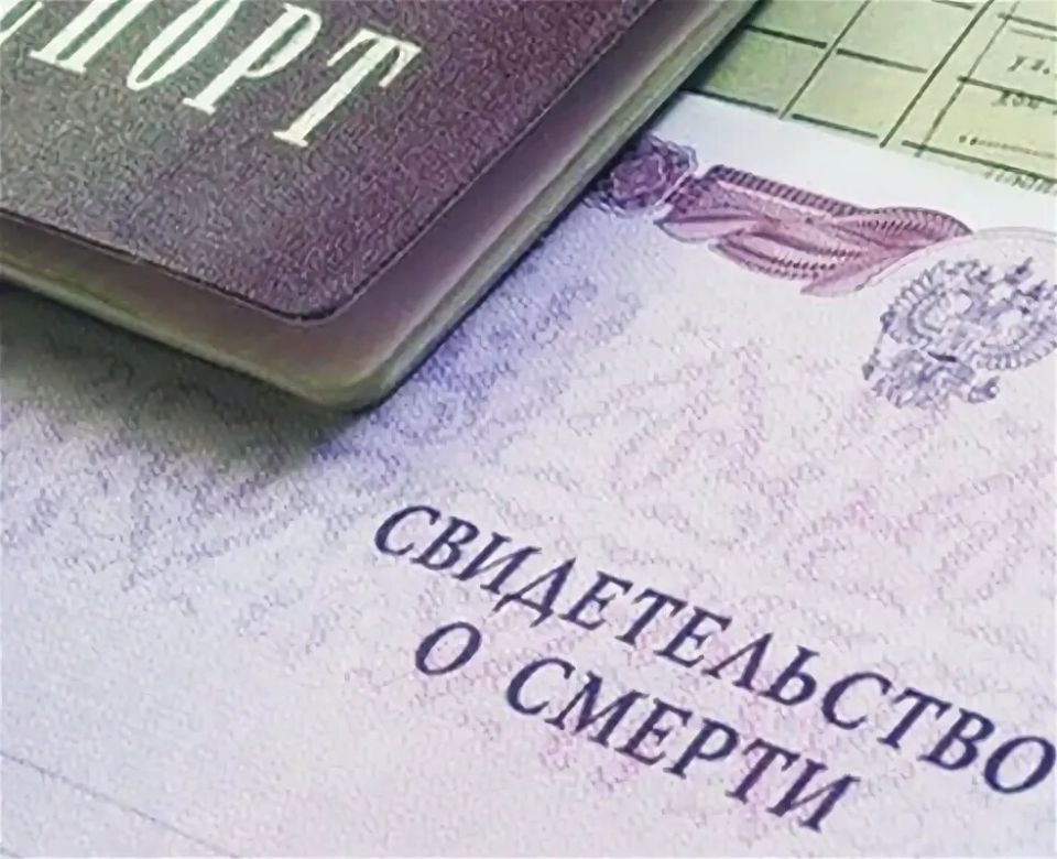 ��� �������� ����������� ������: �������� ��������� 2026 ����