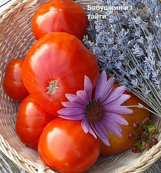 ����� �������� �� �����: ��� ��������� ���� �������� �������� � �������������