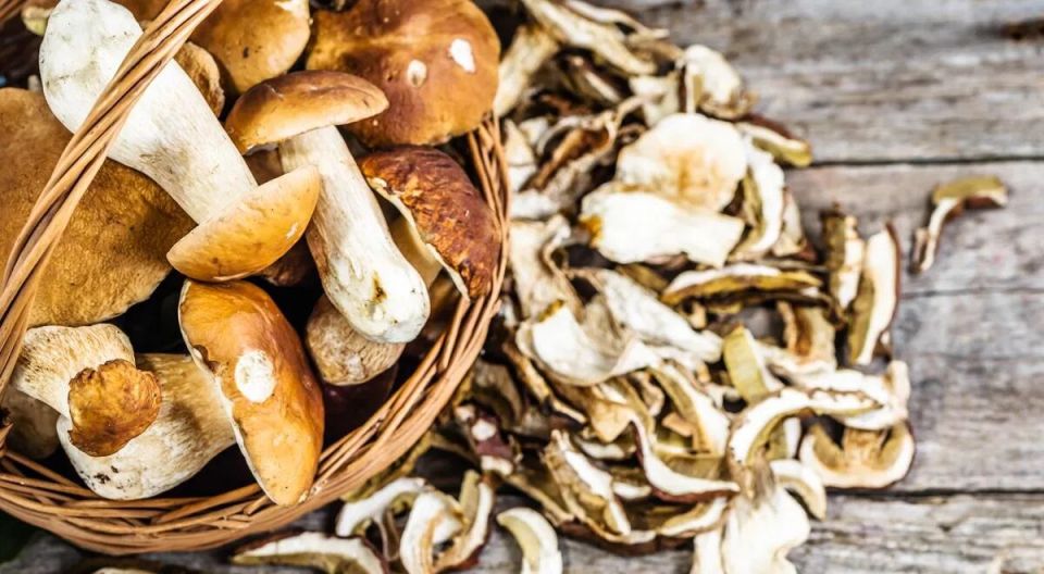 ������� ������������� ������� ������