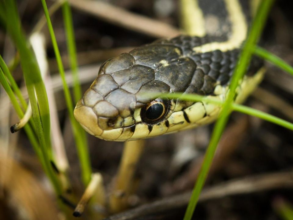 ��� ������� ������������� ��� ���� ��� � ������ �������� ��� �����������