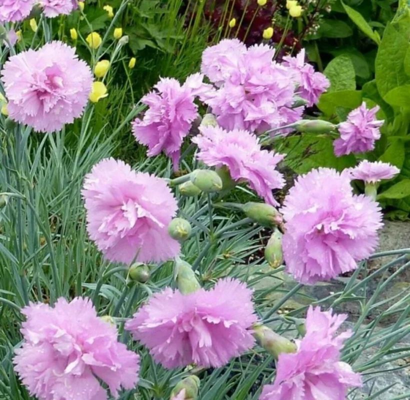 �������� ��������: ��������� ������� ��� ������ ����