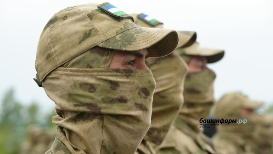 Депутаты обсуждают законопроект о расширении соцгарантий для участников СВО