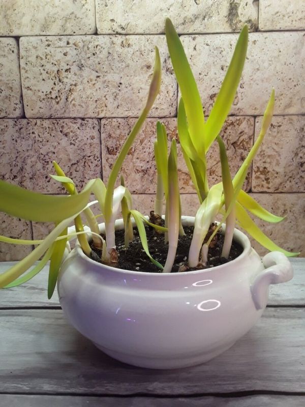 �������� � ������ ��������: ��� ������� ���������� �������� � ��������� �������