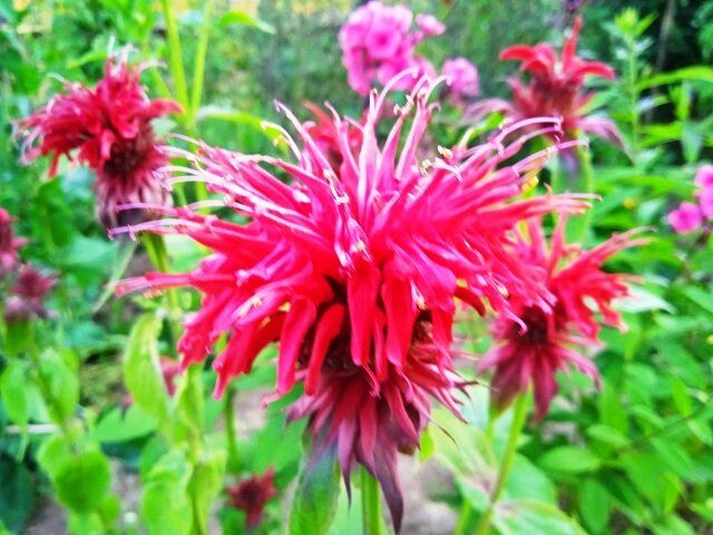 ����������� �����, ������� ������ ���� � ���� � �� ������� ������� �����