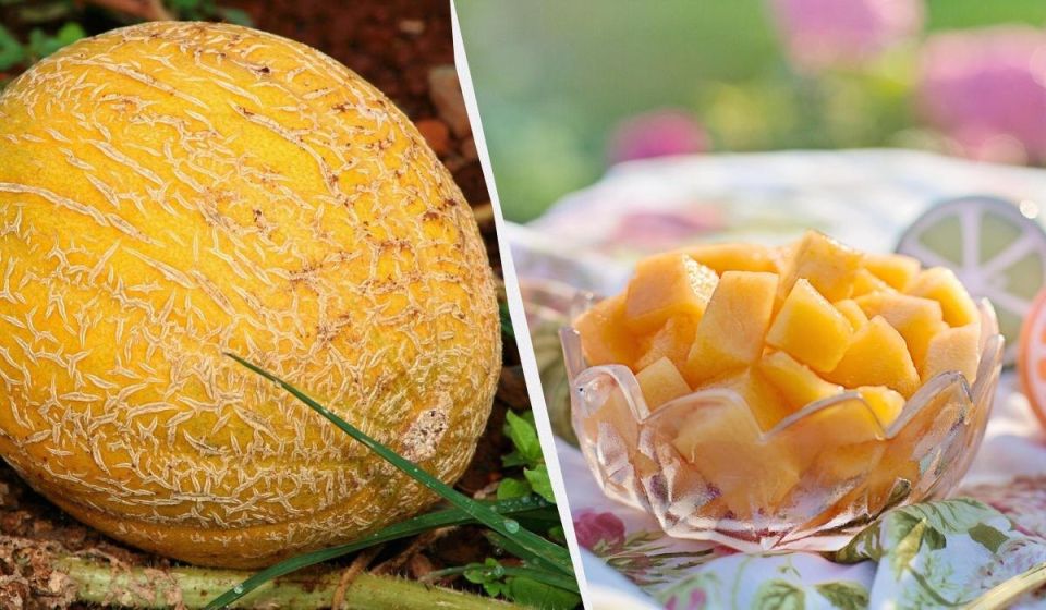 ��� ������� ������� ����: ������� �������