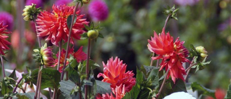 ��������: ������� �������� ��� ������ ����