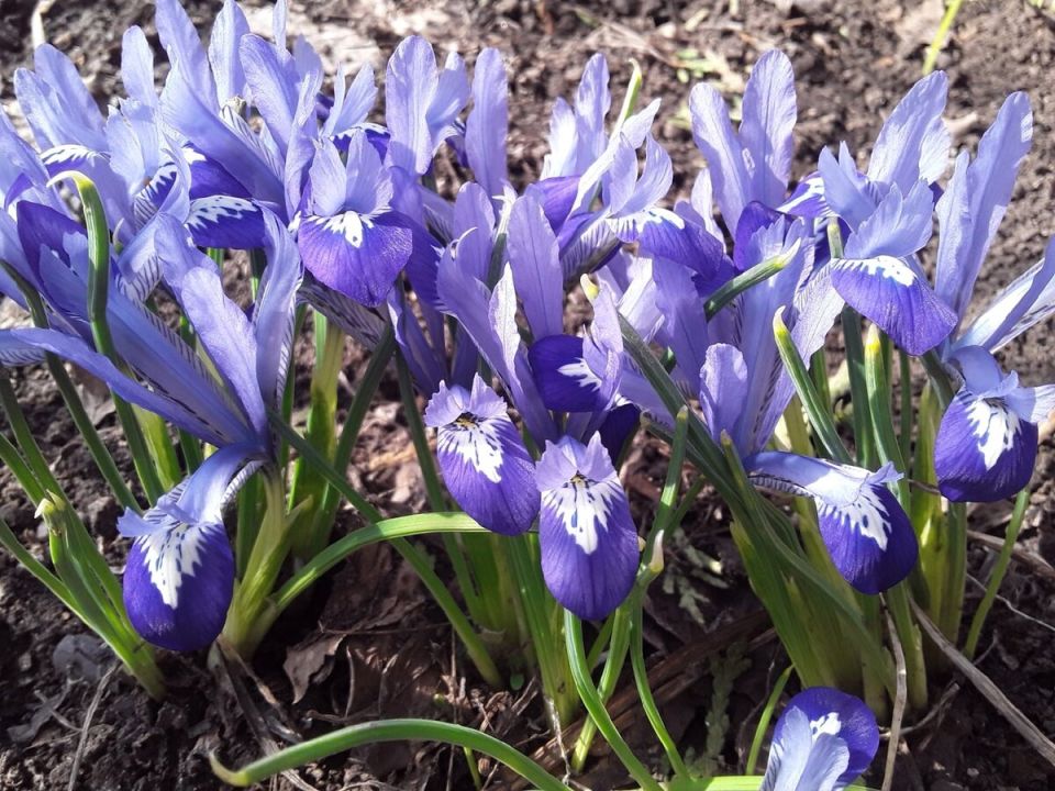 ��� �������� �������� ������: ������� �������� ������ � ����