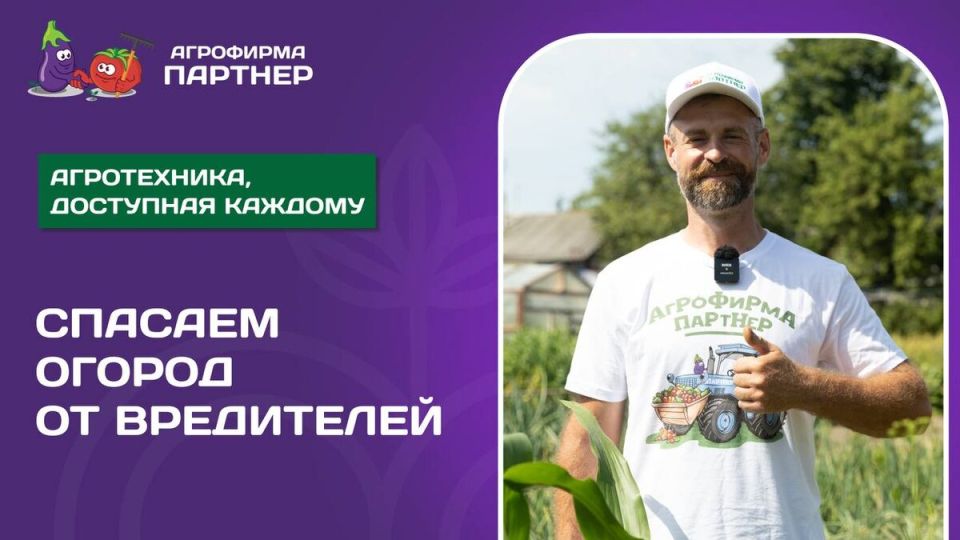 ��� ���������� �������� ������ �� ����������