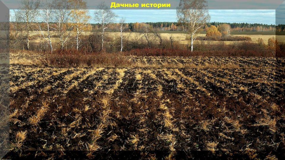 ��� ����� ������� � ������� � �������: ������������ ��� ������� � ��������