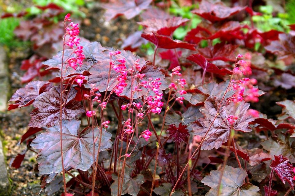 ����� �������������: ��� ������� ������ �������� ��� ����