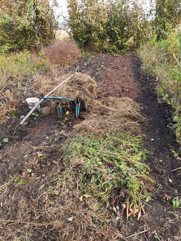 Преобразование мульчи: как использовать ее осенью на даче