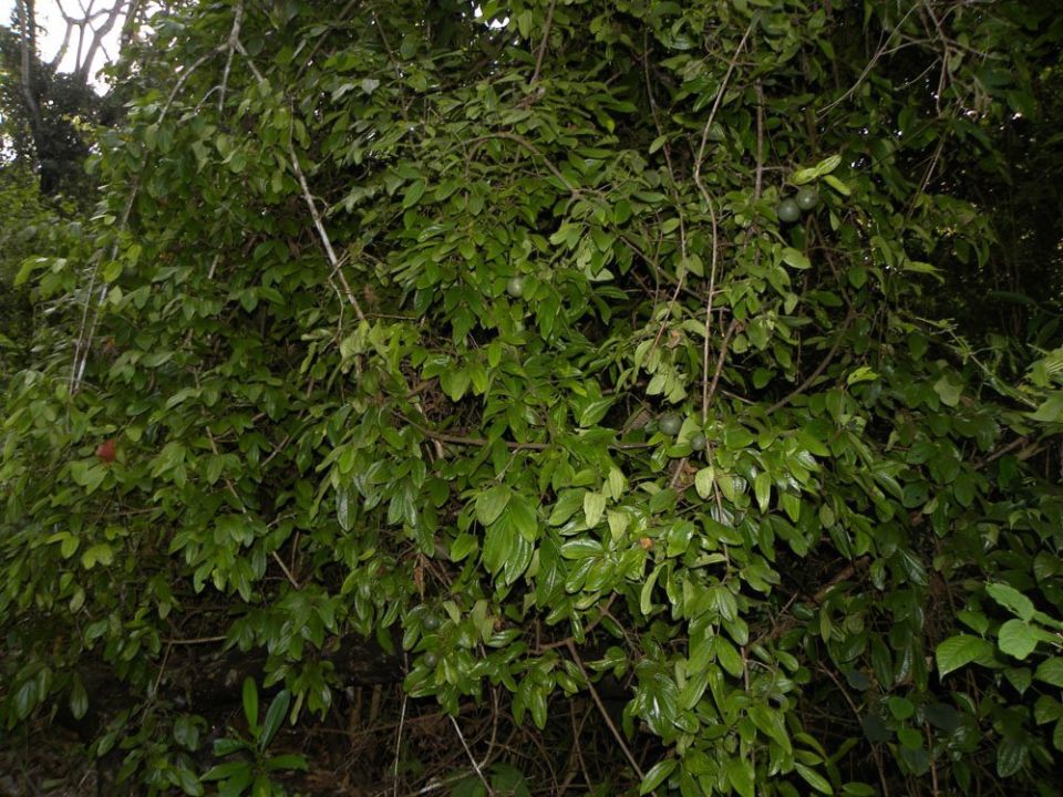 ��������: �� ������� �� �������� ��� � ��������